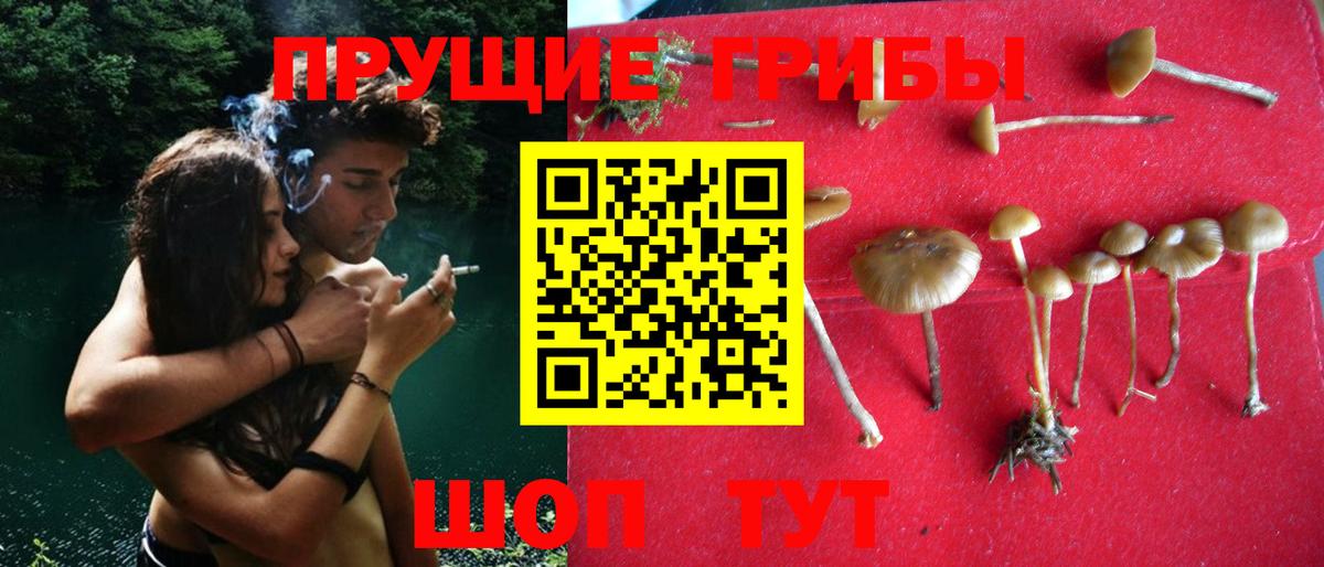 Псилоцибиновые грибы MAGIC MUSHROOMS Геленджик